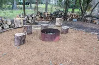 New! Spacious Home, Close to Downtown!