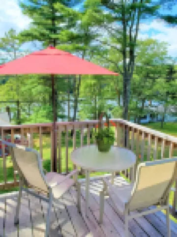 Pinetree Suite- Located on the Lake, Surrounded by Pine Trees...Perfect