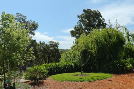 Serene Wellness Escape with Stunning Views Отели в г. Бриджтаун