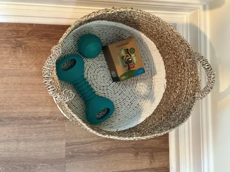 Spacious one bedroom carriage house center of town two blocks from the beach! Отели в г. Рехобот-Бич