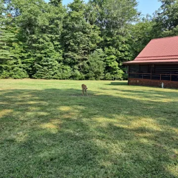 3 bedroom Log Cabin on 11 acres 3 minutes from Pipestem Resort State Park