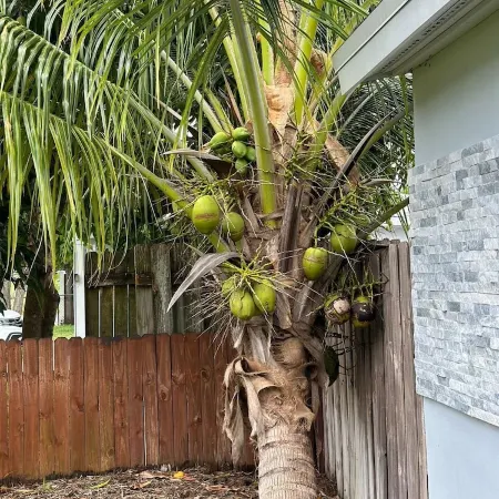 House with hot tub near the Beach. We’re pet-friendly!
