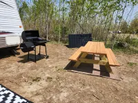 Week Discount. RV on 365 AC Parcel with 15 Mile Stream Running Thru the Property