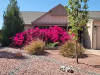 40% Off June! Beautiful Backyard, Quiet- Kachina Desert Oasis- Superhost Hotels in Ahwatukee Foothills