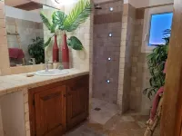 Quiet country house<br>Centre corse 1km from Francardo