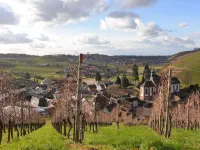 Apartment - quiet and central in the golden wine village of Durbach - Hotels in Durbach