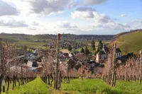 Apartment - quiet and central in the golden wine village of Durbach -
