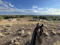 Poncho, minutes away from San Juan Quality Waters & Pinon Hills Golf course Hotels in San Juan County