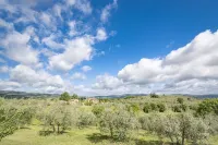 Old farmhouse surrounded by olive groves, near the village, 5 places, first floor, swimming pool