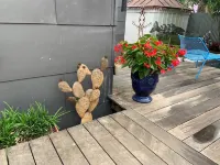 Southtown Guest Cottage is a perfect location to enjoy historic San Antonio.