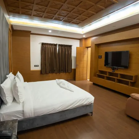 BABY ELITE BY TIO - The Indian Origin Hotels