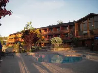 Hotel Marina Riviera - Beach