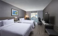 Hilton Garden Inn St. John's Newfoundland Hotels near Memorial University of Newfoundland