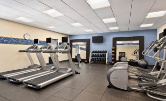 Hampton Inn & Suites Mount Joy/Lancaster West