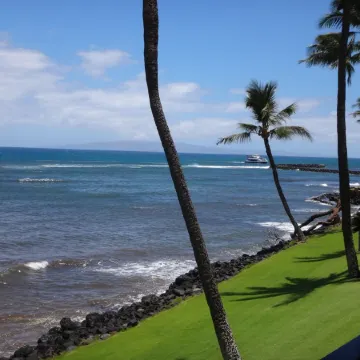 Super Luxury, Direct Oceanfront, 20 yards From Ocean, Whale Watchers Paradise