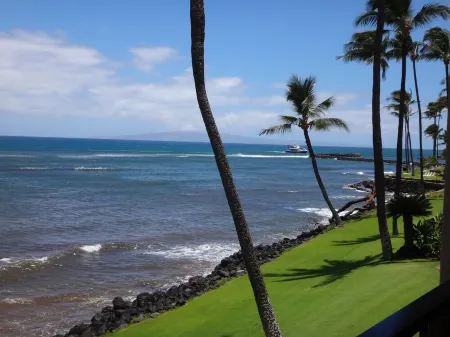 Super Luxury, Direct Oceanfront, 20 yards From Ocean, Whale Watchers Paradise Отели в г. Маалаеа