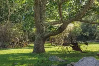 Explore Pristine Chappy! Inquire about May and June 2026