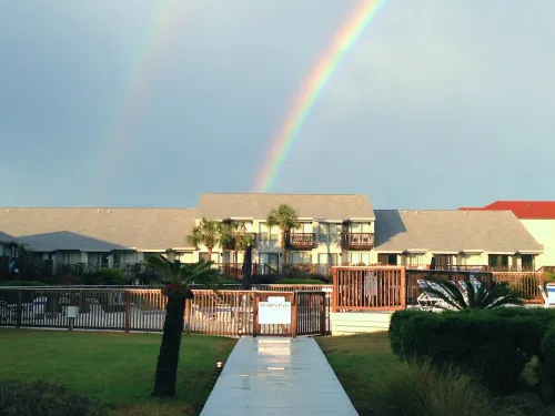 Stylish modern beach view unit, w/ Bch & Pool, dog friendly!