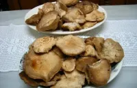 The House of the Chickens for 4 people