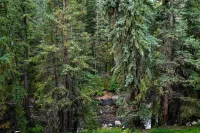 Treetops 4D Lionshead Village