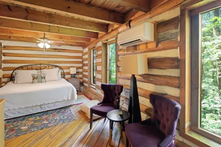 Spacious Cabin in Pisgah Forest.