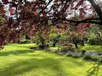 Happy Valley Studio - Peaceful rest in nature, just 5 minutes from downtown! Hotels near Mt Baker vantage point at Padilla Bay