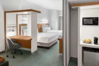 SpringHill Suites Detroit Auburn Hills فنادق في Auburn Hills