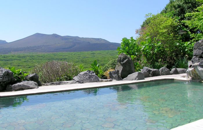 Oshima Hot Spa Hotel
