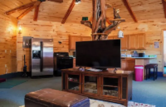 Bear Necessities Cabin, Mesa Verde Getaway