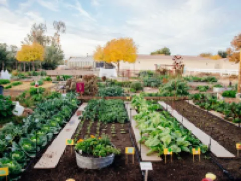 Holiday Inn Express & Suites PHOENIX EAST - GILBERT by IHG Hotels in Gilbert