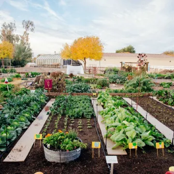 Holiday Inn Express & Suites PHOENIX EAST - GILBERT by IHG