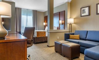 Comfort Inn & Suites Boise Airport