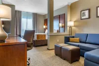 Comfort Inn & Suites Boise Airport