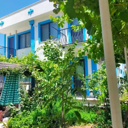 Zeytin Çiçeği Pansiyon