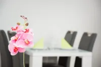 フェリエンパーク ヴィンターベルク