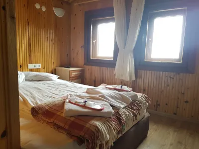 Zigana Gumuskayak Yaylakent Hotel Hotels in 
