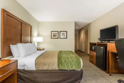 Quality Inn Summerville-Charleston Отели в г. Саммервилл