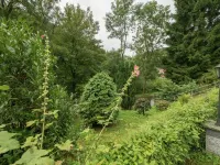 Welcoming Bungalows in Neustadt Hotels in Neustadt Harz