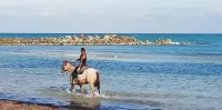 Corte di Ferro Hotel & Wellness Resort - Ocean View