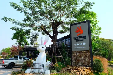 รูปภาพของปาป๊าโฮม แอนด์ แรบบิทคาเฟ่