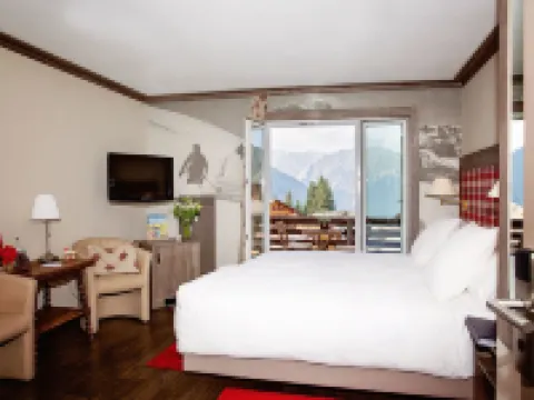 ホテル ブリストル バニュのホテル