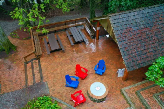 Modern Interior and Gas Fireplace - Cozy Mountain Retreat