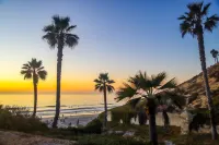 Ocean Views and Stylish Comfort - Spacious Top-Floor Retreat