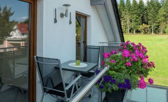 Ferienwohnung im Malerischen Kniebis