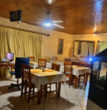 紫橄欖賓客之家酒店