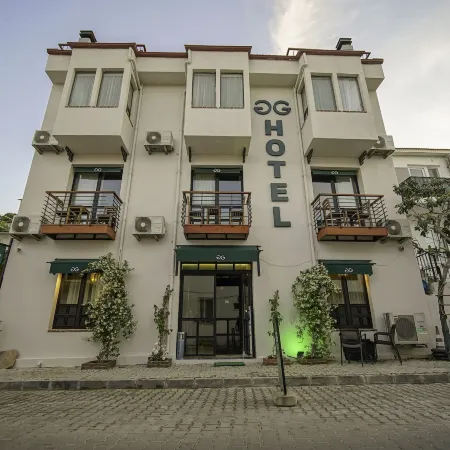 The Green Goose Hotel