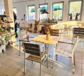 Haus der Schmetterlinge Hotels in Bad Karlshafen