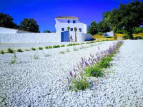 ホテル ロンダ モーメンツ ロンダのホテル