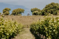 Villas & Vines Glamping Hotels in Clive