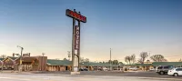 Sands Motel - bar